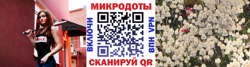 Псилоцибиновые грибы мухоморы  hydra зеркало  Заволжск 